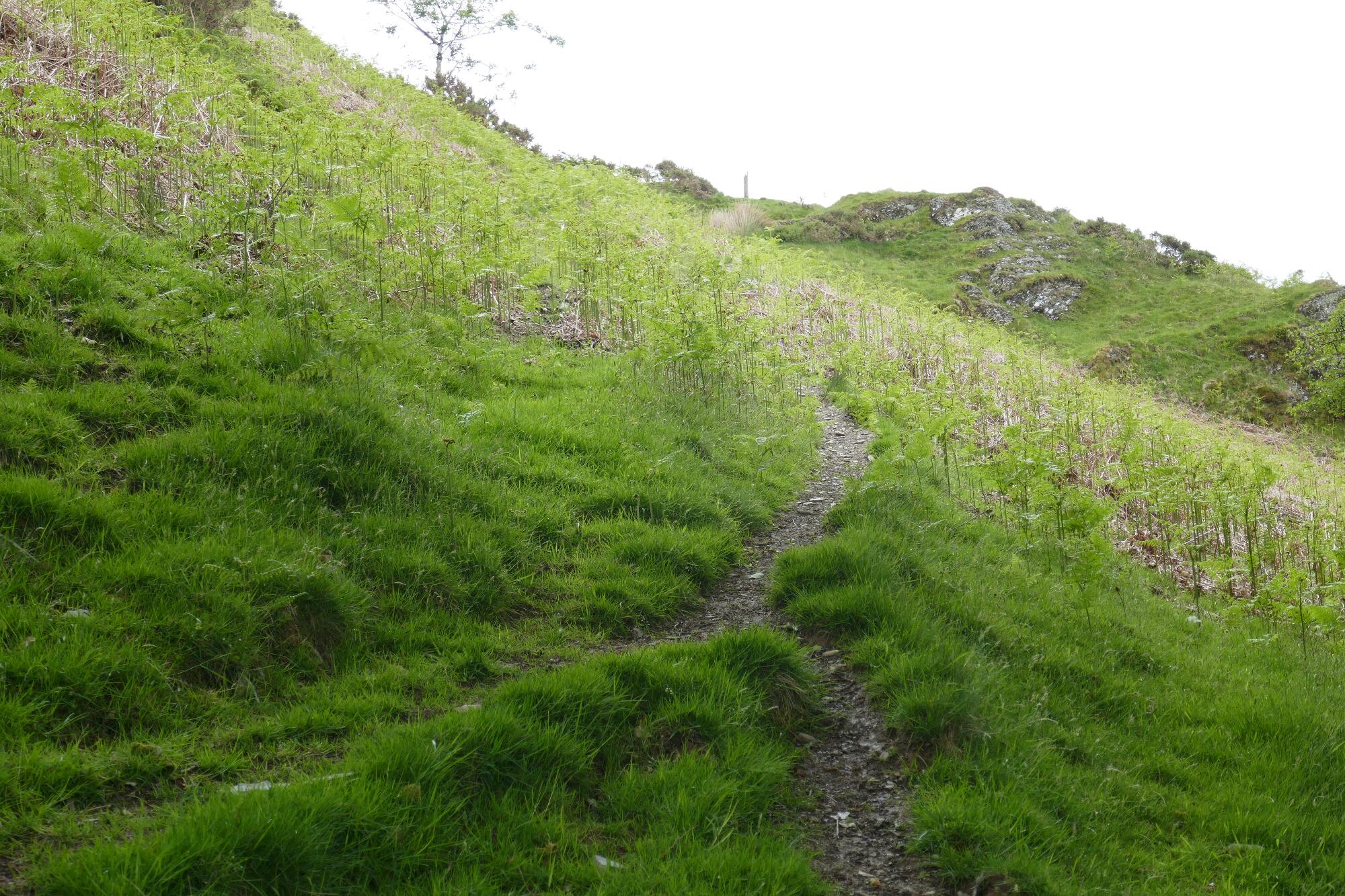 RachelSeabrook.net | Wild Walking | Devils-Bridge; pic20